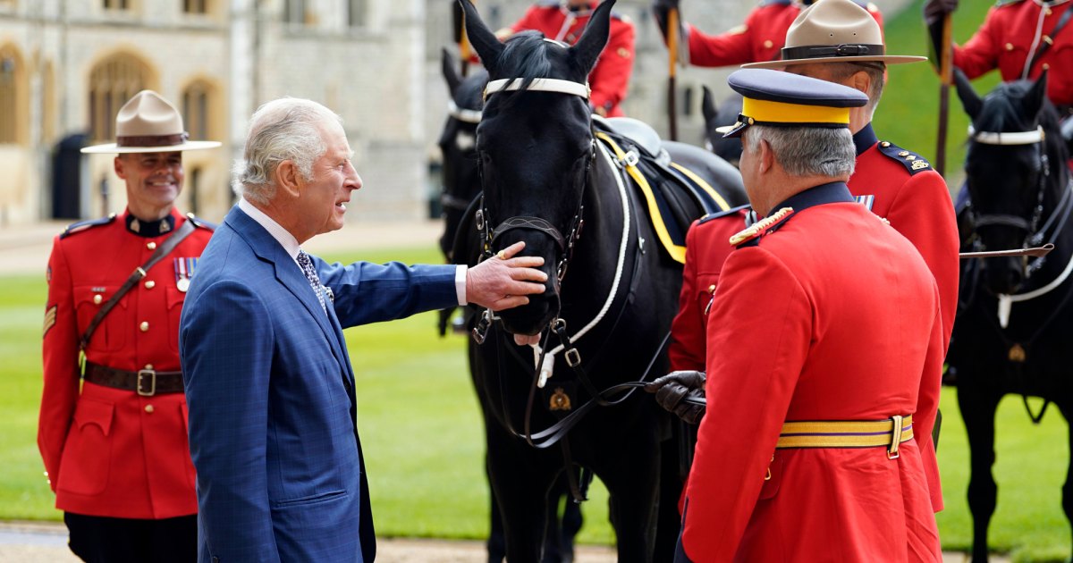 Meet King Charles IIIs 8 Royal Horses