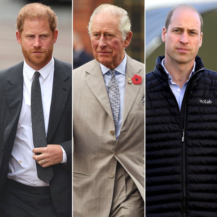 Prince Harry Has ‘Regular Pattern of Conversation’ With Charles, But ‘Minimal Contact’ With William