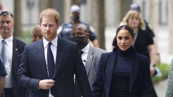Prince Harry security