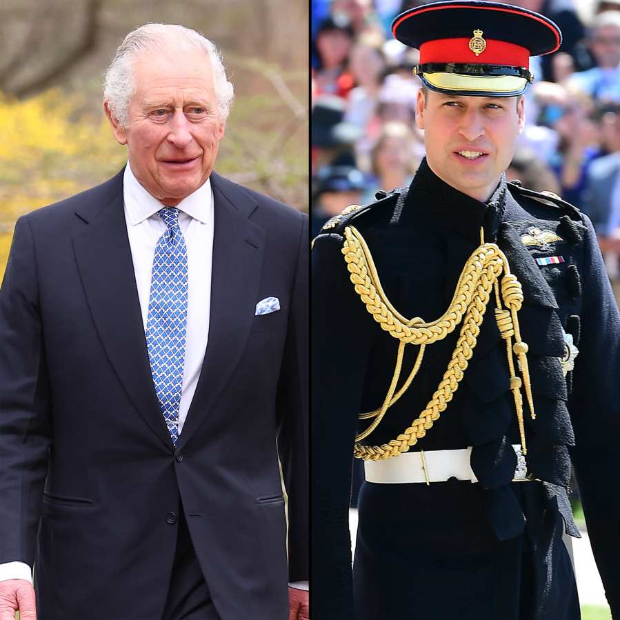 Prince William King Charles Gallery