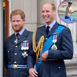 Prince-William-and-Prince-Harry-s-Best-Shirtless-Moments-Over-the-Years--Photos-183