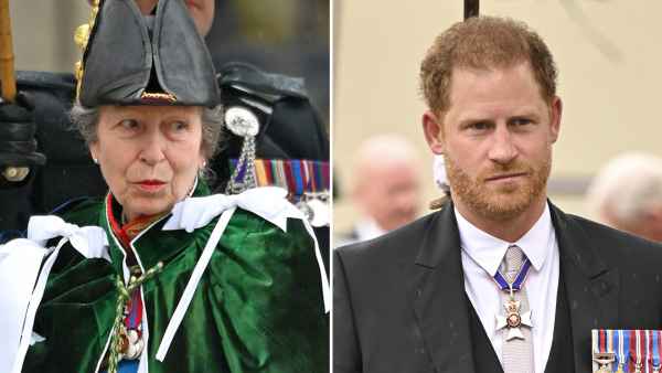 Princess Anne and Prince Harry Are All Smiles While Chatting at King Charles IIIs Coronation Ceremony