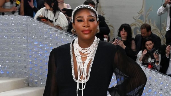 Serena Pregnant Mini Gall