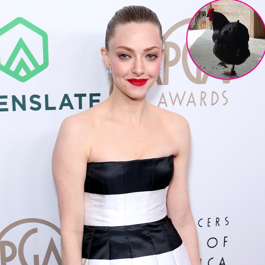 Amanda Seyfried Celebrities Who Have Chicken Coops at Home
