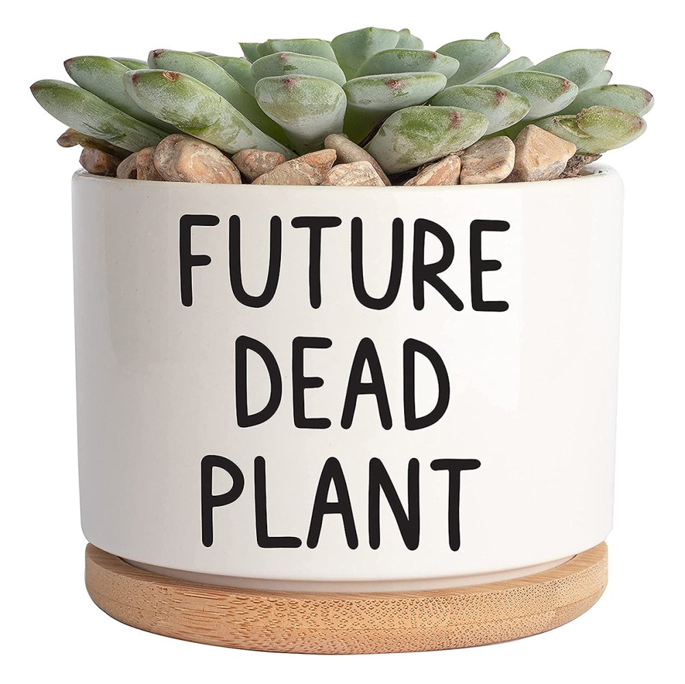 hilarious-mothers-day-gifts-amazon-future-dead-plant