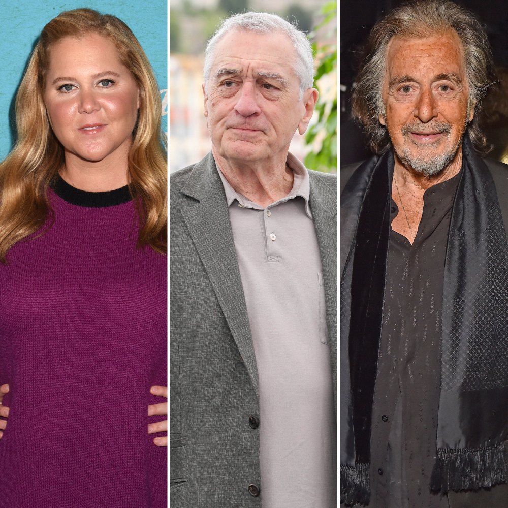 Amy Schumer Says Shes Uncomfortable With Robert De Niro and Al Pacino Having Kids Late in Life