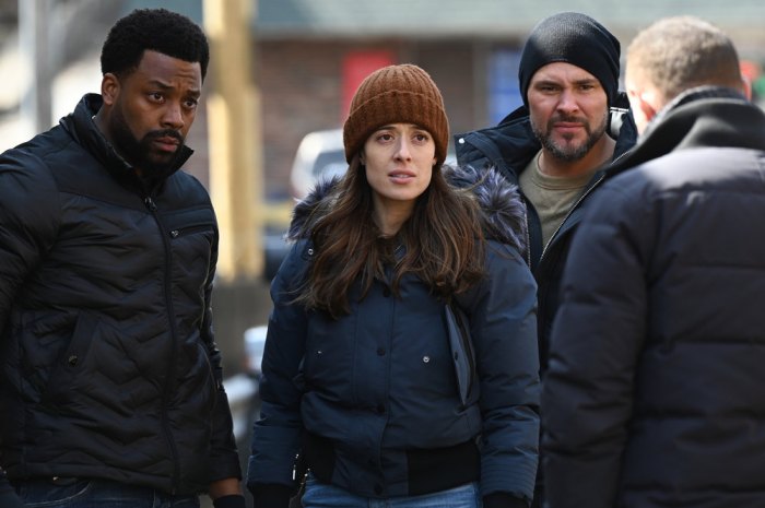 Chicago P.D.’s LaRoyce Hawkins Wants to 'Marry' Burgess and Ruzek 1 Chicago P D-s LaRoyce Hawkins Is Absolutely Rooting for a Burgess and Ruzek-s Happy Ending Wants to Officiate Possible TV Wedding