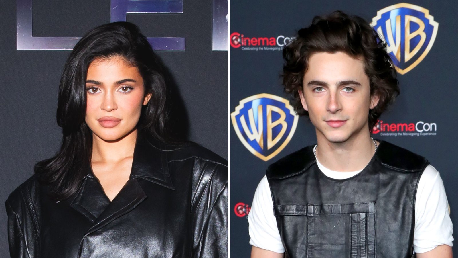 Kylie Jenner and Timothee Chalamet Spotted Together for the 1st Time Amid New Romance