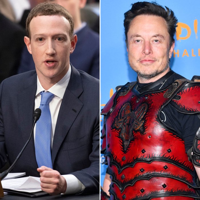 Mark Zuckerberg Down to Spar With Elon Musk