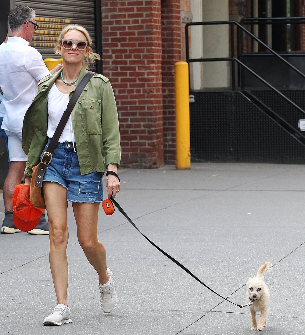 Naomi Watts Walks Dog in NYC Days After Marrying Billy Cruddup