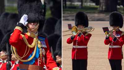 Prince William Praises Soldiers During Trooping the Colour Rehearsal After 2 Guards Faint