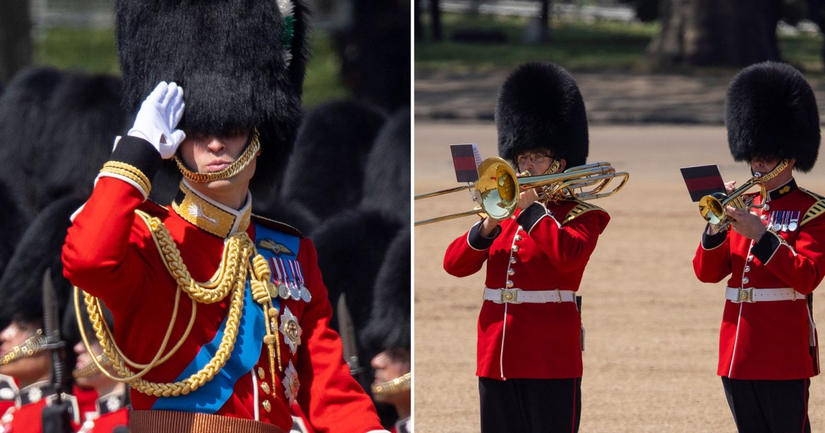 William praises guards after 2 fainting spells during parade of colors rehearsal
