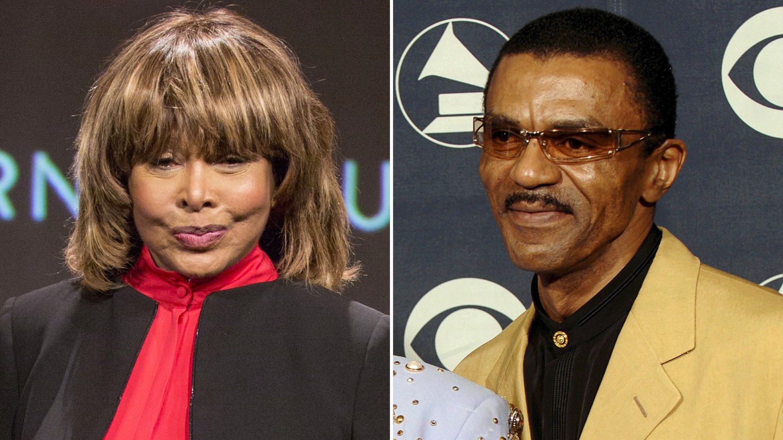 Tina Turner's Son Ike Turner Jr. Arrested on Charges of Crack Possession Before Her Death: Details