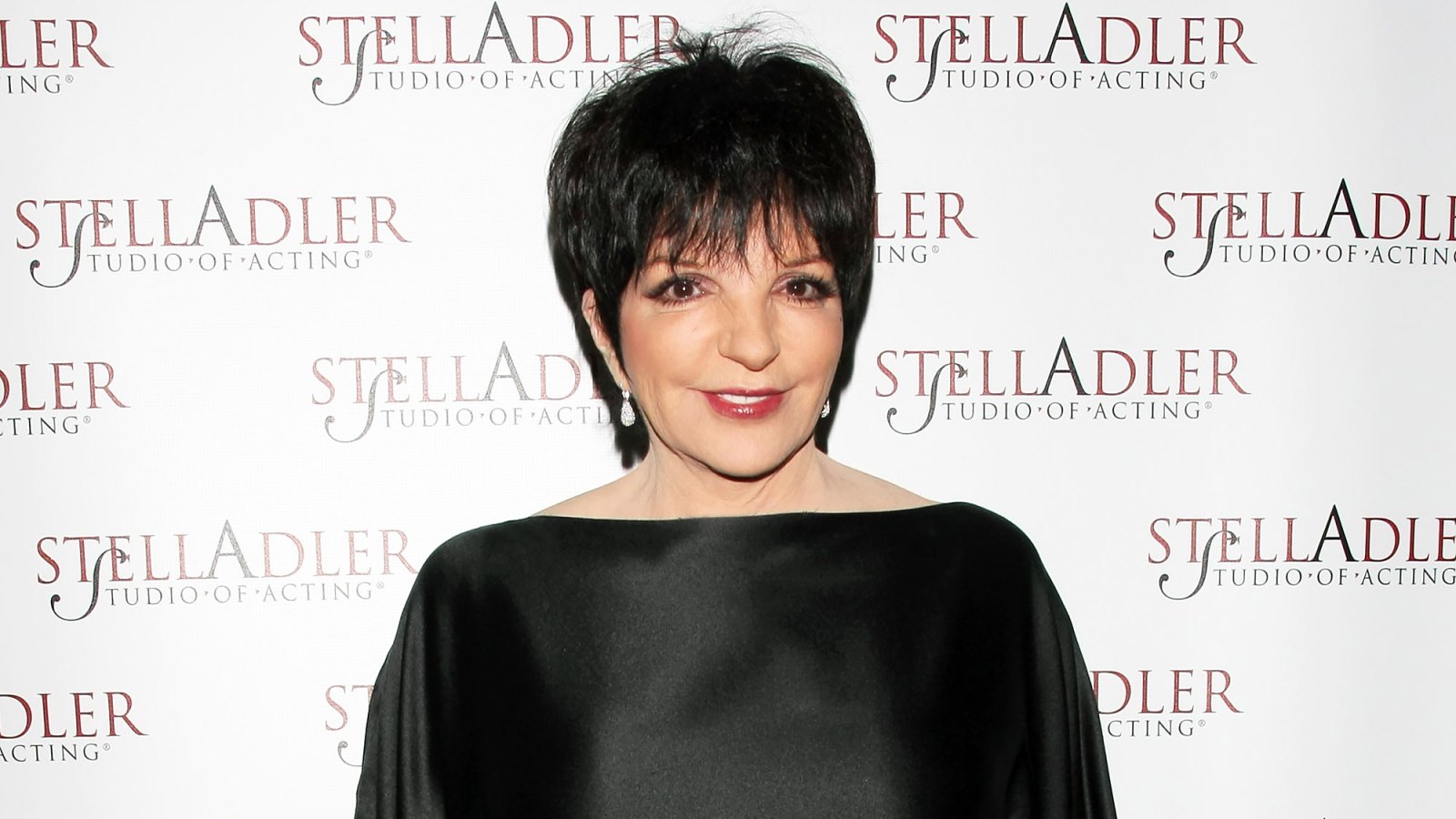25-Things-You-Dont-Know-About-Me-Liza-Minnelli-2011
