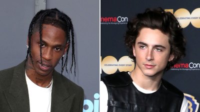 Does Travis Scott New Song Throw Shade at Timothee Chalamet