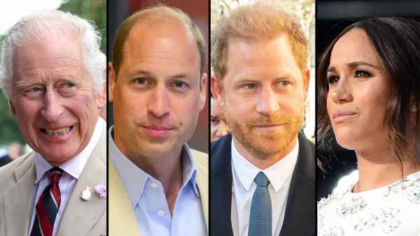 King Charles and Prince William Have a Stronger Bond After Being United Against Harry and Meghan 318