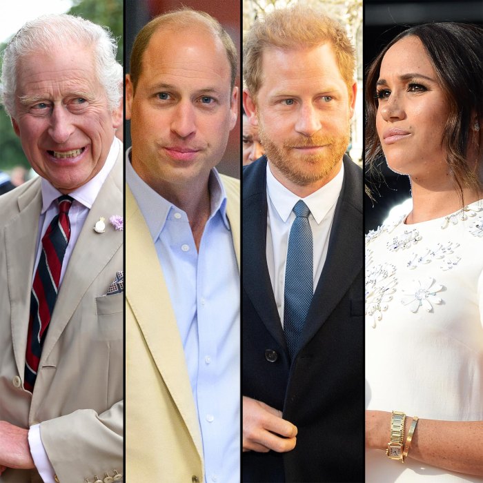 King Charles and Prince William Have a Stronger Bond After Being United Against Harry and Meghan 318