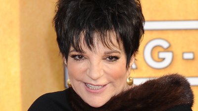 Liza Minnelli Checks Into Rehab Again For Alcohol Abuse