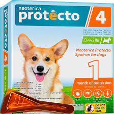 Discover the Ultimate Solution: The Top-Rated Flea and Tick Medicine for Dogs