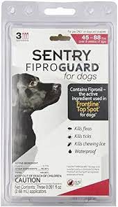 SENTRY Fiproguard for Dogs, Flea and Tick Prevention for Dogs (1)