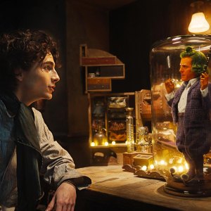 Timothee Chalamet Is Willy Wonka Everything to Know About the Wonka Prequel 258
