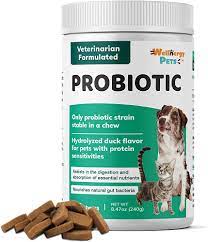 Wellnergy Daily Probiotic & Prebiotics Soft Chew for Dogs