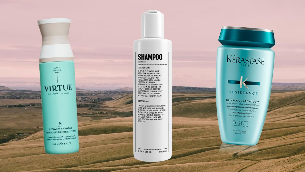 13 Best Shampoos for Dry Damaged Hair