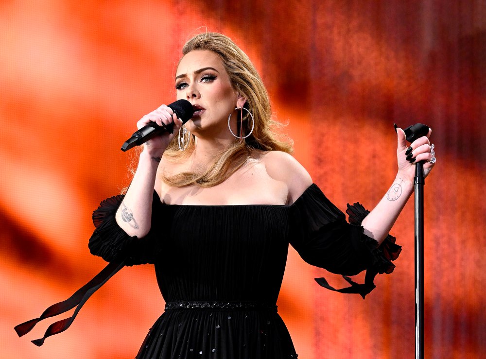 Adele Stops Show to Call Out Security Guard for Bothering Fan