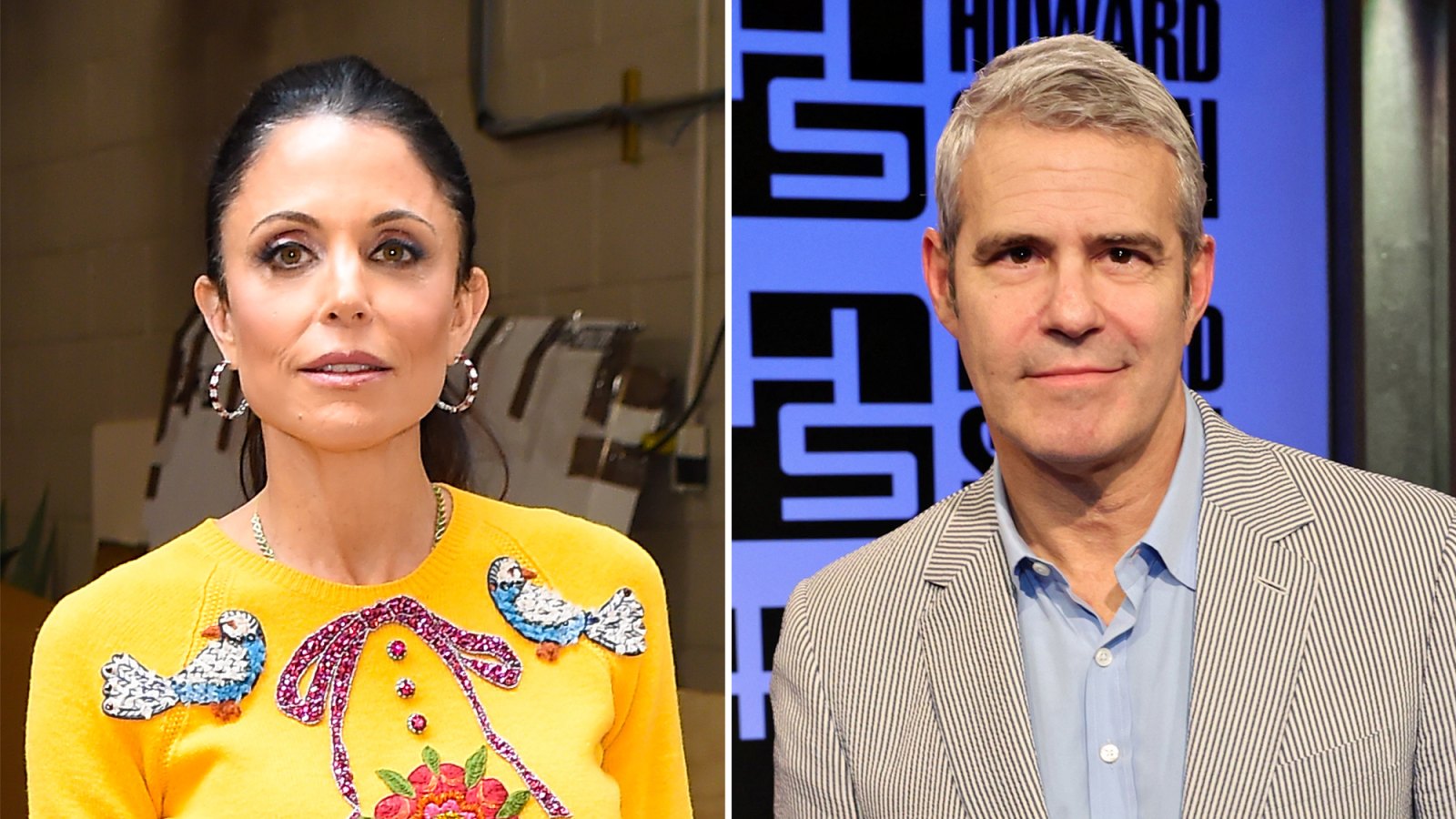 Bethenny Frankel Says Andy Cohen Despises Her for Reality TV Union Idea