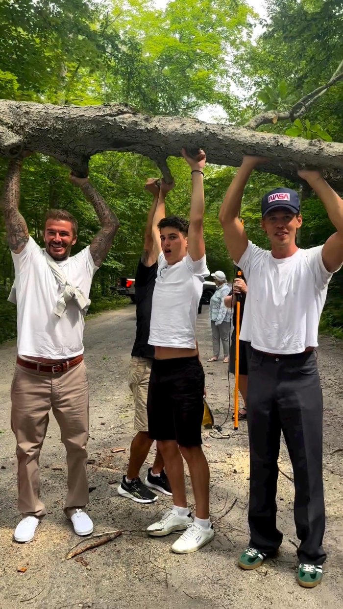 David Beckham and Austin Butler Team Up to Lift a Tree and Help Drivers in Canada Just Because 315