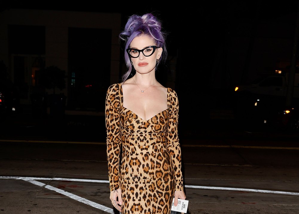 Feature Kelly Osbourne Leopard Dress