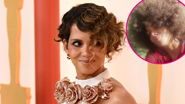 Halle Berry Rocks Her Natural Hair in Striking Selfie My Man Loves This 314