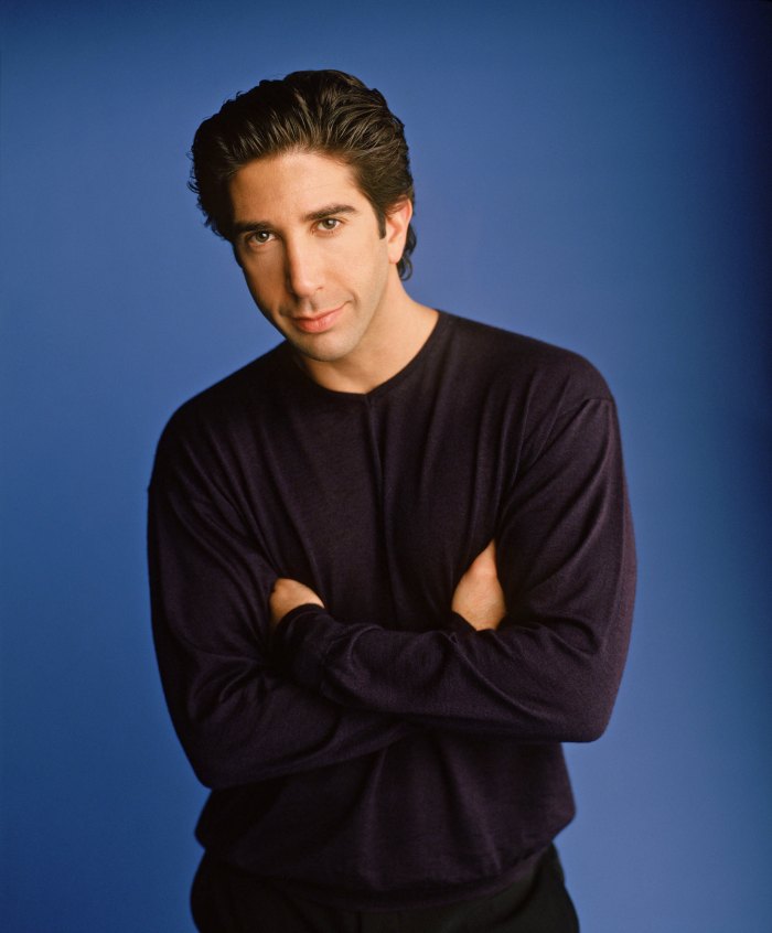 How David Schwimmer Contributed to Friends