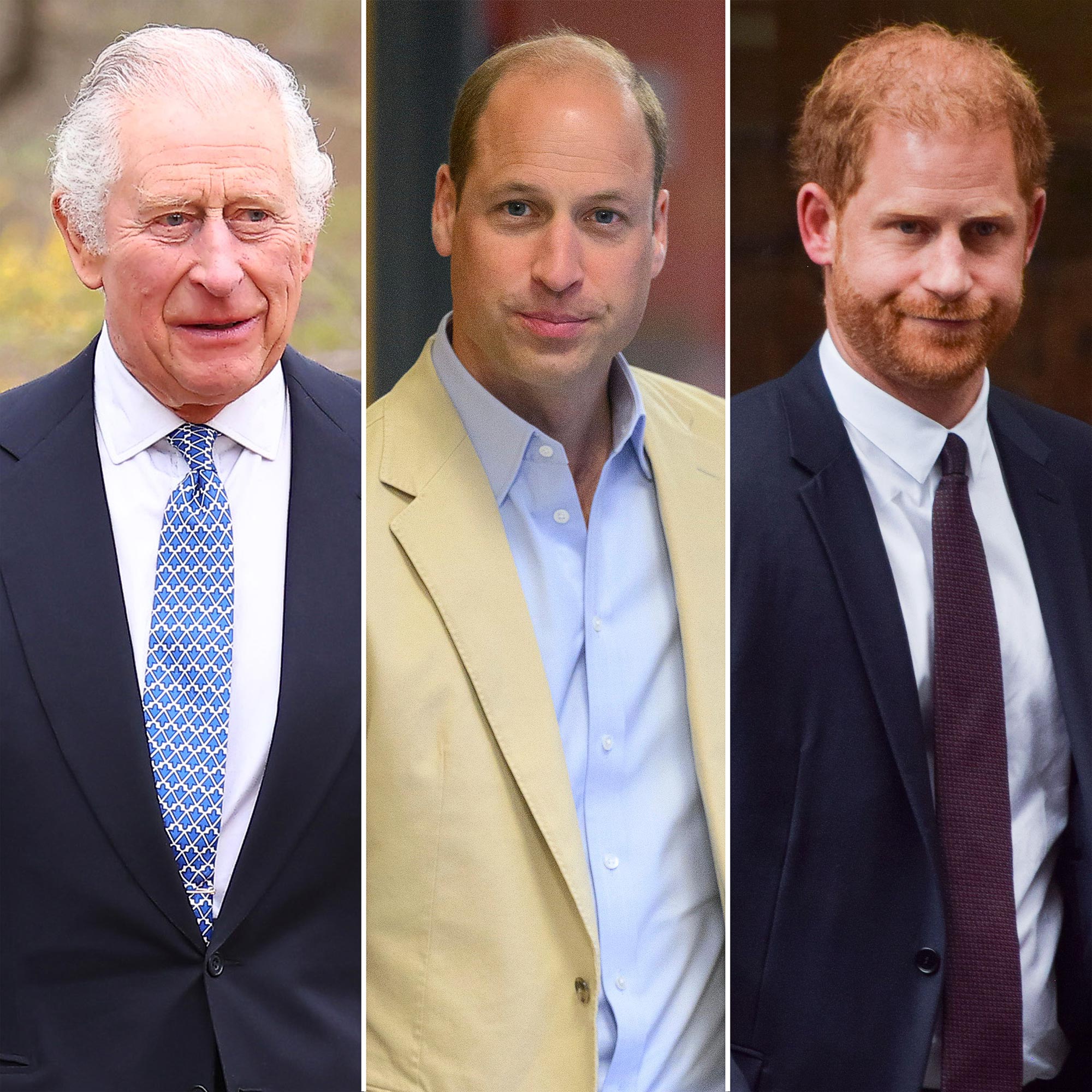 King Charles and Prince William Are Apparently 