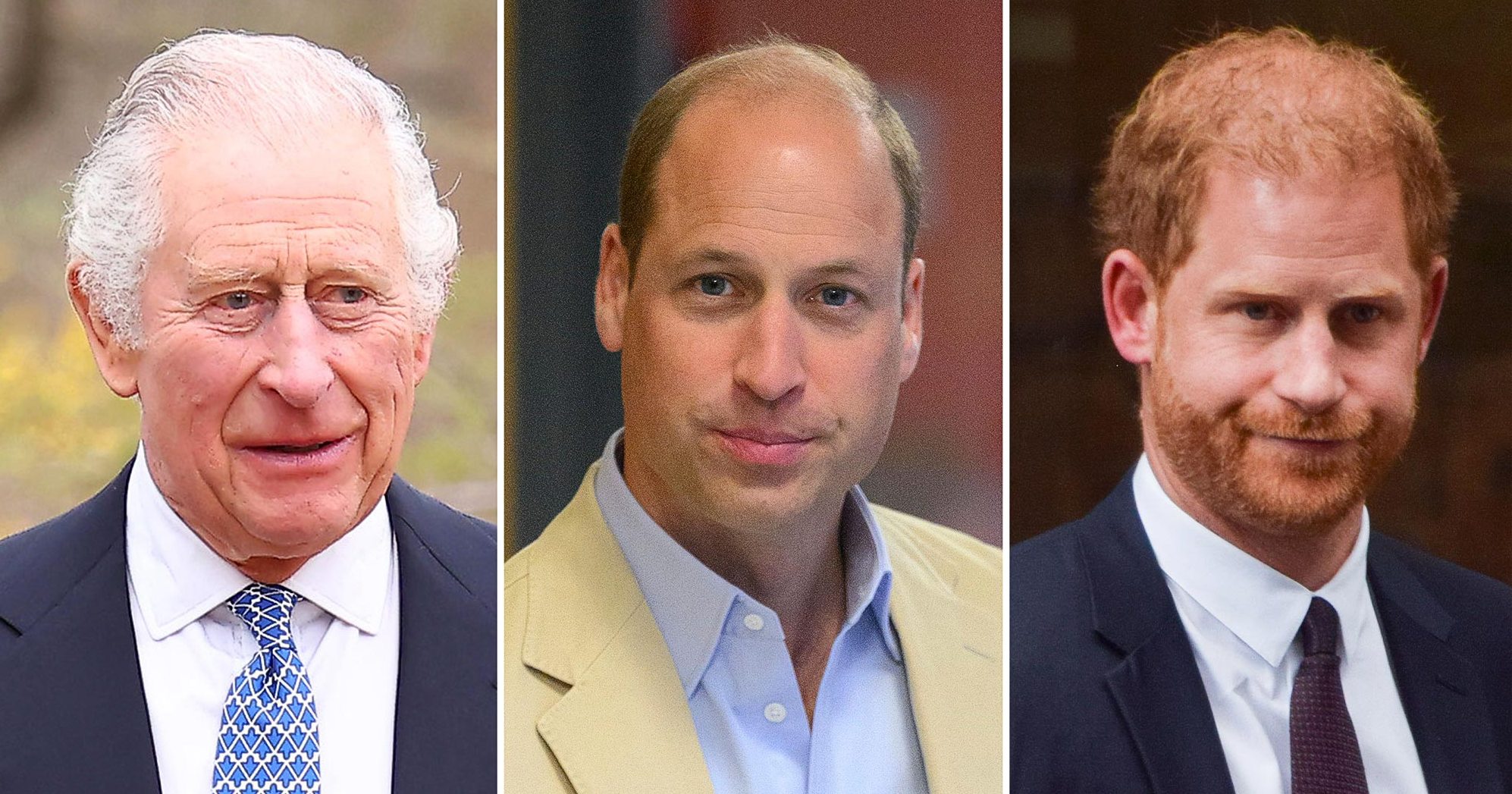 King Charles Puts William in Charge of Harry's Former Military Unit - Vimarsana News