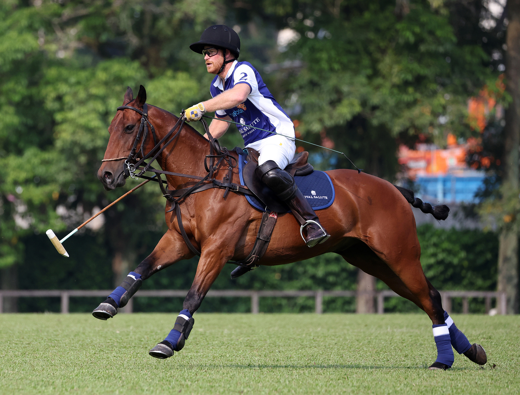 Prince Harry's Dazzling Philanthropic Triumph on the Polo Field: Exclu...