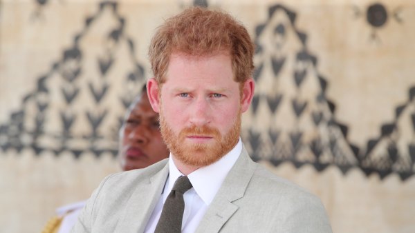 Royal Expert Doesn't Think Prince Harry Would Honor Queen With Royals