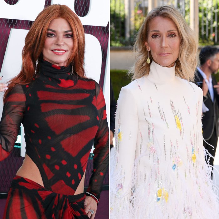 Shania Twain Hopes to Connect With Celine Dion