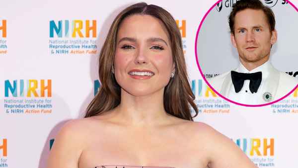 Sophia Bush Rocks Out to Taylor Swift s Trouble at Eras Tour Amid Grant Hughes Divorce 329