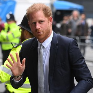 Why Chaotically Curated Royal Website Finally Updated Prince Harry s Title According to Expert 255