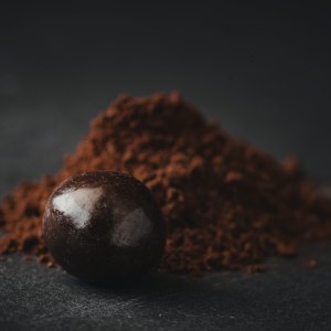1446 - Cacao Powder Benefits