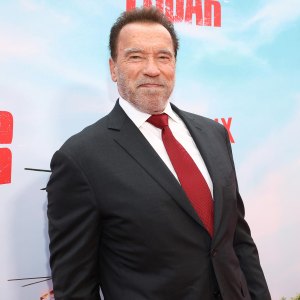 Arnold Schwarzenegger Says Positive Attitude Helped His Recovery After Disaster 3rd Open Heart Surgery 327