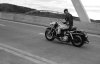 'The Bikeriders' Early Review: Austin Butler Showcases Star Power | Us ...