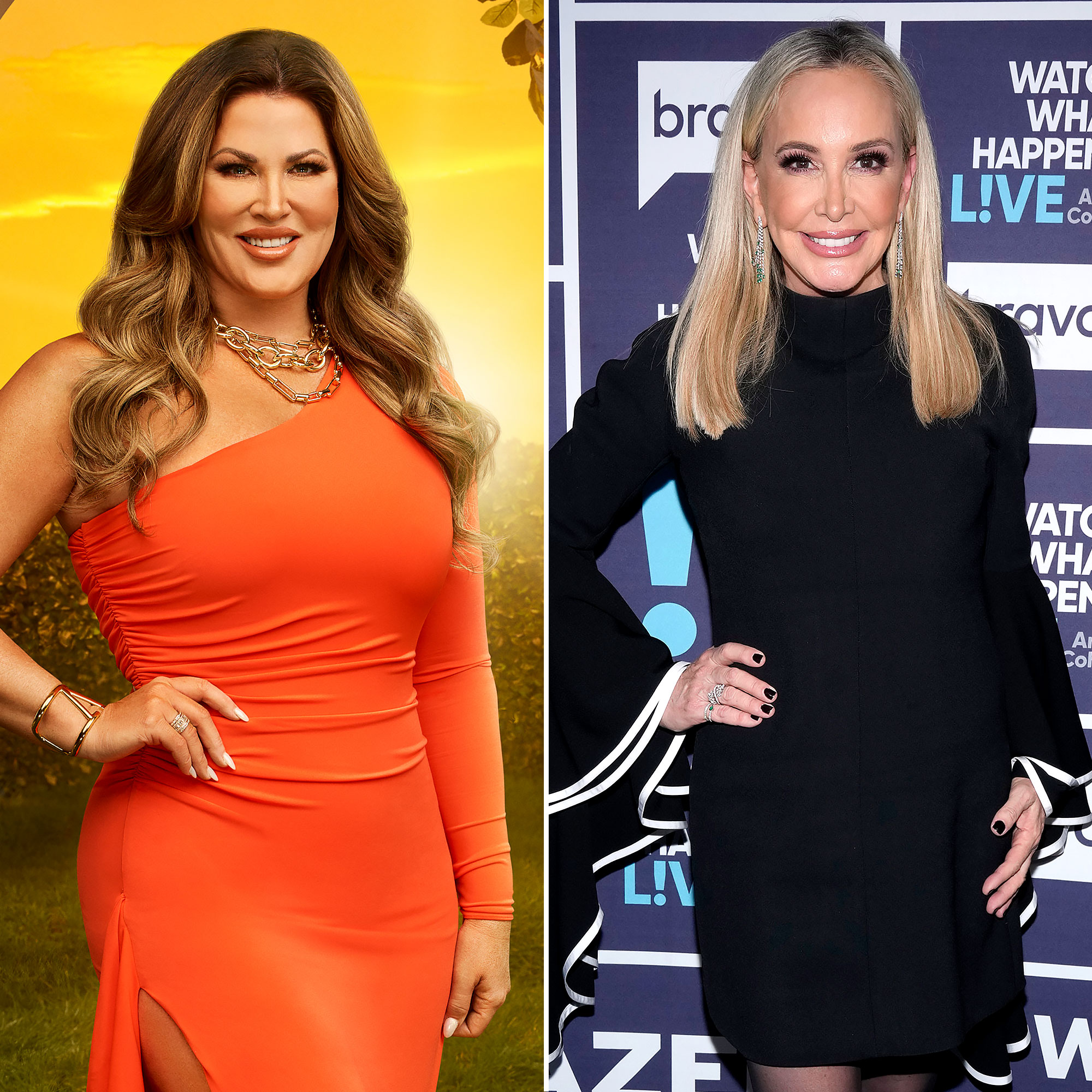 RHOCs Emily Simpson Says Shannon Beador Was Spiraling Before