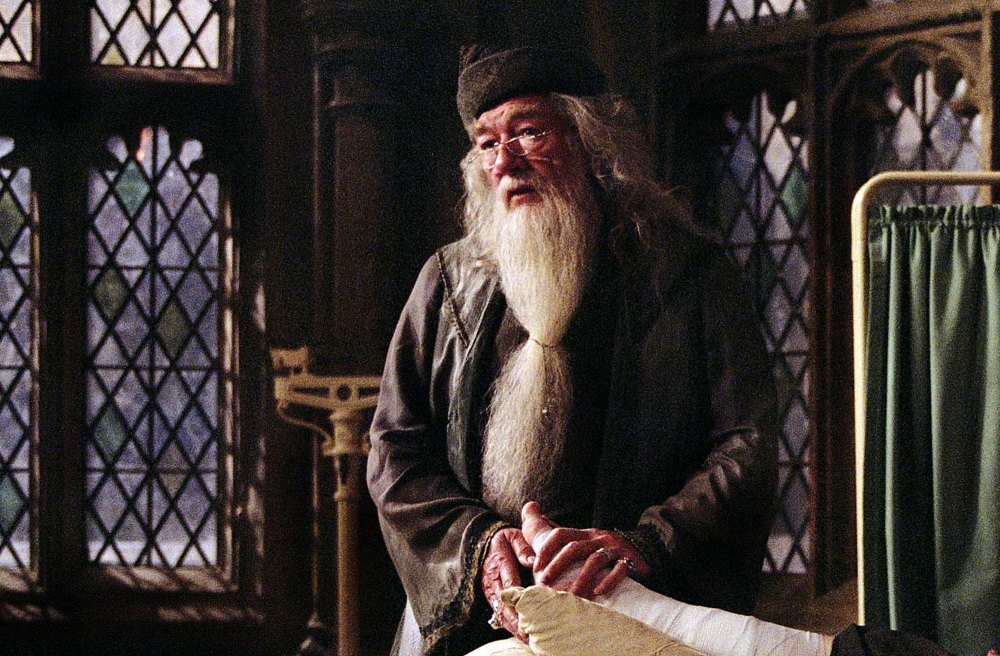 Sir Michael Gambon Dead at 82 Harry Potter Stars and More Celebrities Pay Tribute 320