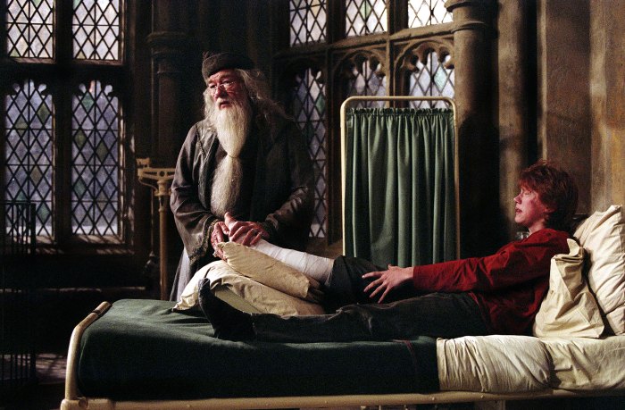 Sir Michael Gambon, Harry Potter’s Dumbledore, Dead at 82