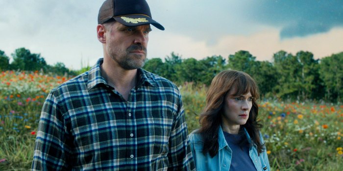 Stranger Things Spinoff Ideas We Want to See From Steve s Adventures to Hopper and Joyce s Prequel 310