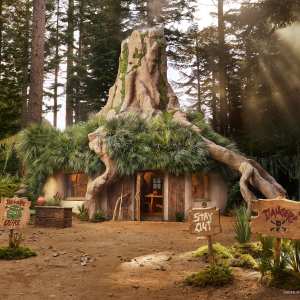 You Can Help Donkey House Sit Shreks Rustic Swamp on Airbnb Which Includes an Outhouse