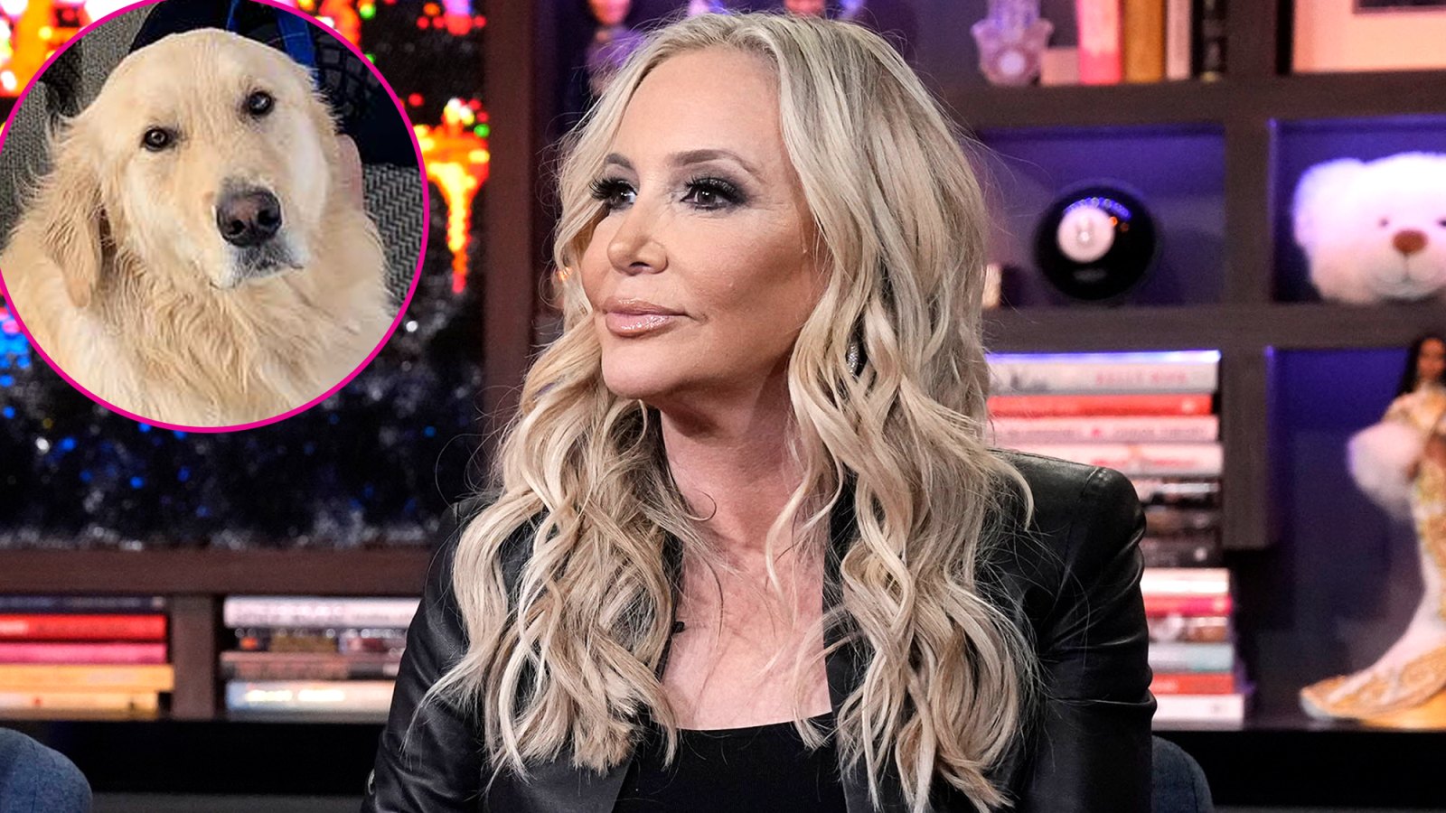 Animal Control Is Getting Involved in RHOC’s Shannon Beador DUI Hit-and-Run Incident