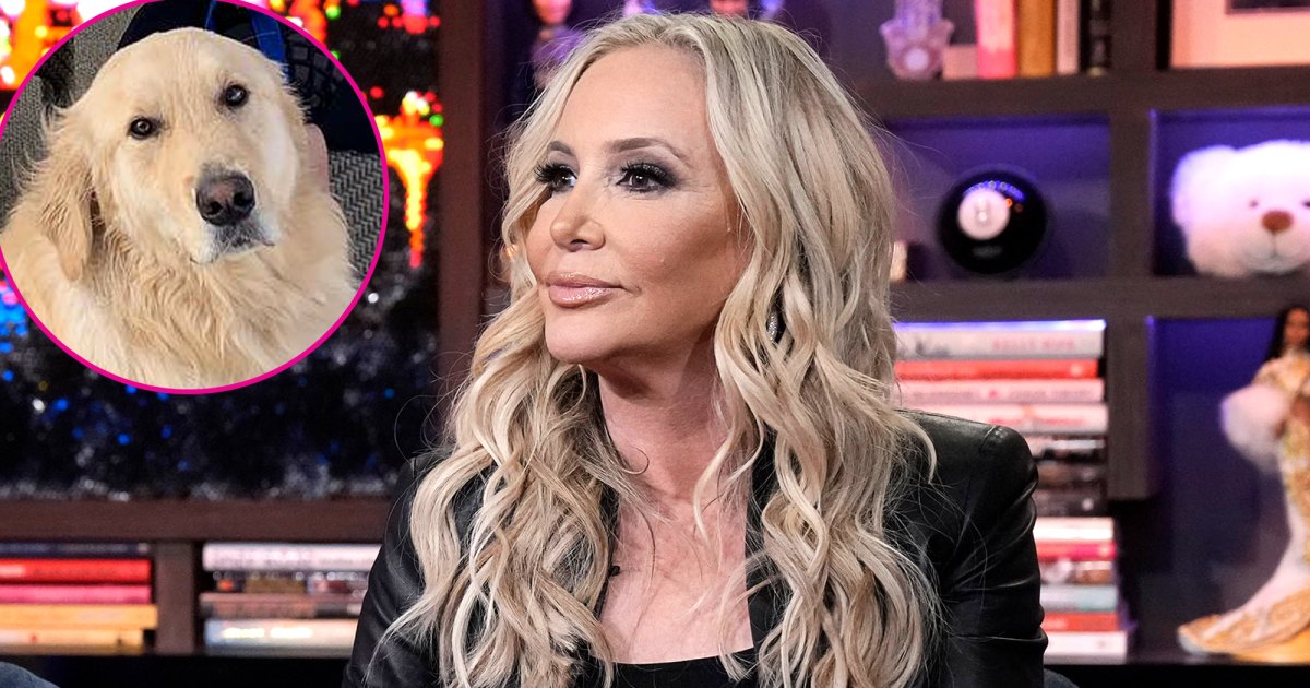 Animal Control Gets Involved in RHOC Shannon Beador’s DUI Situation